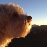 Kerry Ware - @kwarebear - Instagram