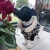 Kerry Ware - Facebook
