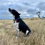 Kerry Weston - @kerry.weston.54 - Instagram