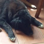 Kerry whitehead - @whitehead2206 - Instagram