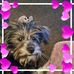 Kerry Whiteside - Facebook