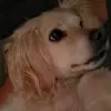 Keri Taylor Wiley - @keri_wiley - TikTok