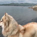 Kerry Wiley - @kerrywiley68 - Instagram