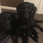Kerry Wills - @kerry110676 - Instagram