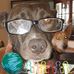Kerry Wright - Facebook