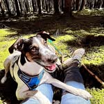 Kerstin Becker - @beckerkerstin45 - Instagram