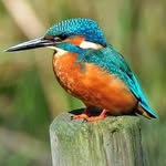 kerstin Becker - @kerstin.becker2560 - Instagram