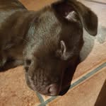 Kerstin Becker - @kerstin.becker71 - Instagram
