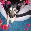 Kerstin Becker - @kerstin.becker87 - TikTok