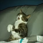 Kerstin Hellmann - @wunderbar06 - Instagram