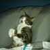 Kerstin Hellmann - Facebook