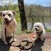 Kerstin Hellmann - Facebook