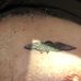 Kerwin Davis - Facebook