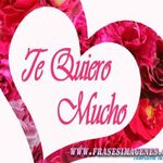 kerwin rodriguez - @kerwinrodriguez8379 - Instagram