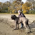Erwin Westerink - @westerinkerwin - Instagram
