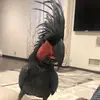 Kesha - Black Palm Cockatoo - @keshafun - TikTok