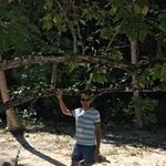 Kesha Walker - @keshawalker2408 - Instagram