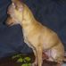 Keta Davis - Facebook