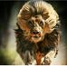 Solanki Ketan - Facebook