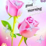 ketulkumar dilipkumar patel - @ketulkumardilipkumar - Instagram