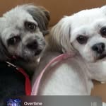Kev Jones - @kev.jones.140 - Instagram