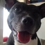 Kev Jones - @kev2377 - Instagram