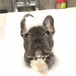 Kev Smith - @smithmeister81 - Instagram