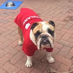 Kev Smith - @kev.smith_28 - Instagram