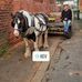 Kev Taylor - Facebook
