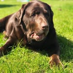 Kevan Harris - @blindmankev - Instagram
