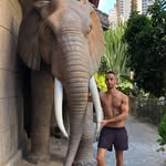 Kevin Abate - @kevinabate - Instagram