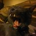 Kevin Abrahamson - Facebook
