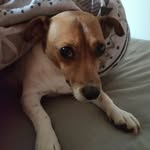 Kevin Acton - @kevacton - Instagram