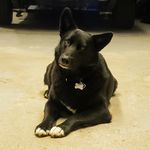 Kevin Addison - @kevinaddison69 - Instagram