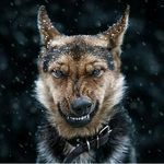 kevin addison k - @kevinaddisonk8 - Instagram