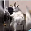 Kevin Hernández Gonz - @kevinakerman1 - TikTok