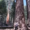 kevinakerman8 - @kevinakerman83 - TikTok