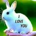 Kevin Alber - Facebook