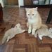 Kevin Alberta - Facebook