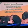 kevinaleman35 - @kevin.aleman29 - TikTok