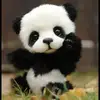 kevin_alex - @kevin_alex01 - TikTok