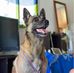 Kevin Anders - Facebook