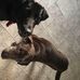 Kevin Ankney - Facebook