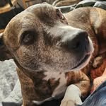 Kevin John Appleton - @kevinjohnappleton - Instagram