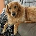 Kevin Armbruster - Facebook