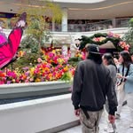Kevin Astudillo - @kevin_astudillo_05 - Instagram