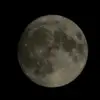 kevinastudillo64 - @kevinastudillo44 - TikTok