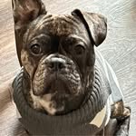 Kevin Aurand - @kevinaurand - Instagram