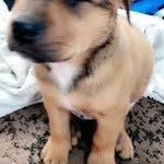 Kevin_Awesome - @kevin_awesome0822 - Instagram