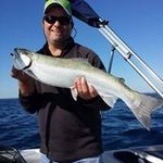 Kevin Ayers - @kevin.ayers.100 - Instagram